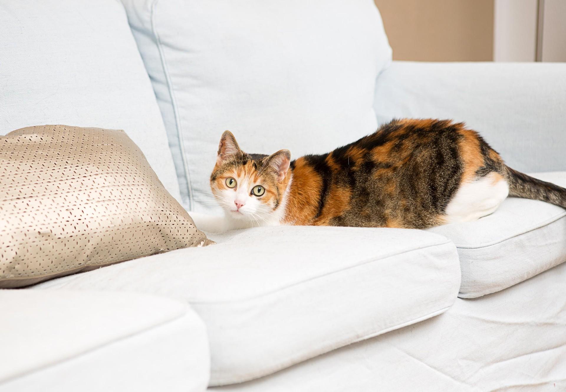 Yumi testimonial photo